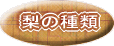 梨の種類と収穫時期